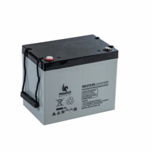 Pegasus Battery: GB1275